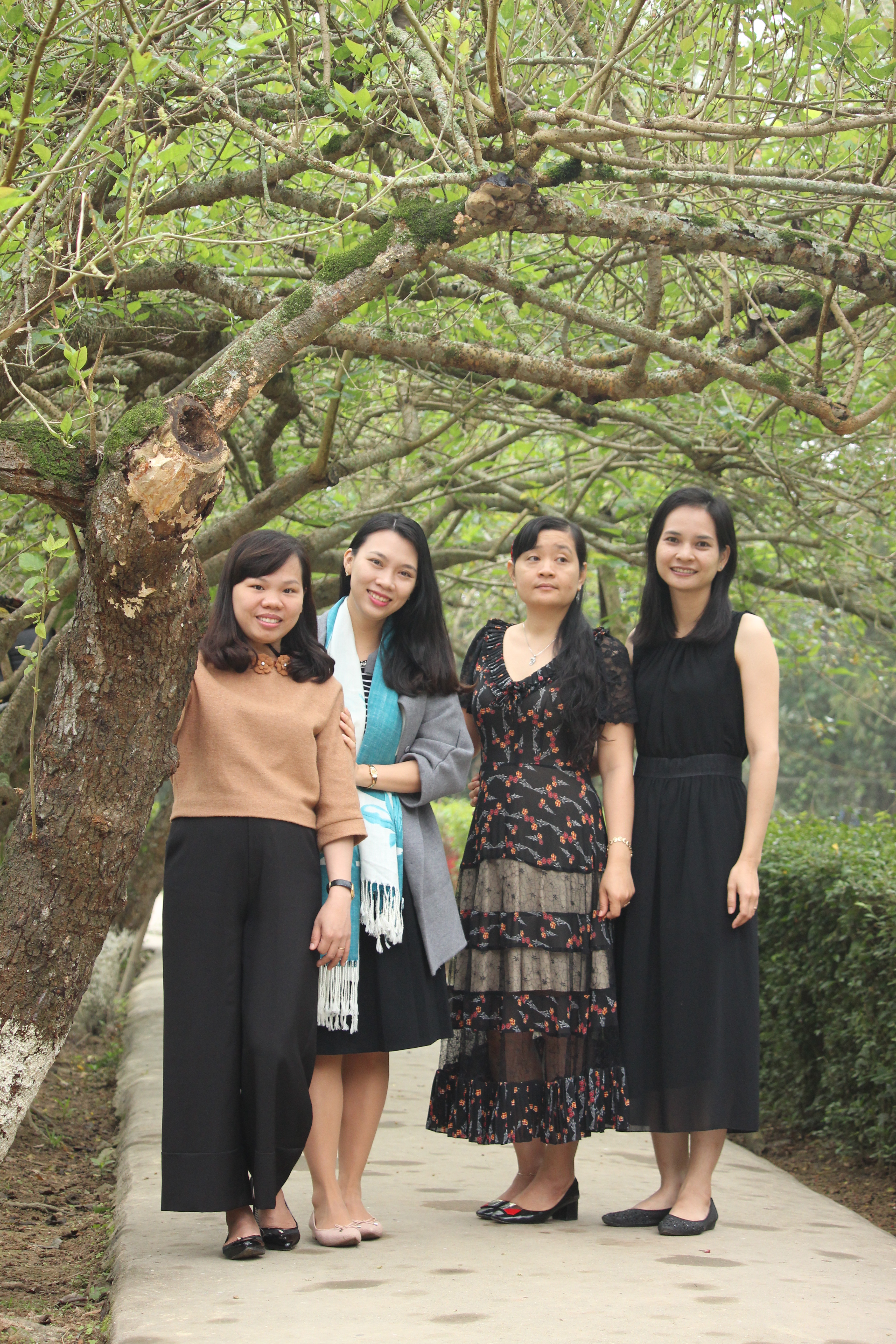 Vinaora Nivo Slider 3.x